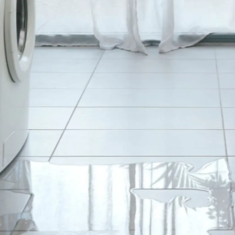 Appliance Leak Cleanup in Harrisonville, MO