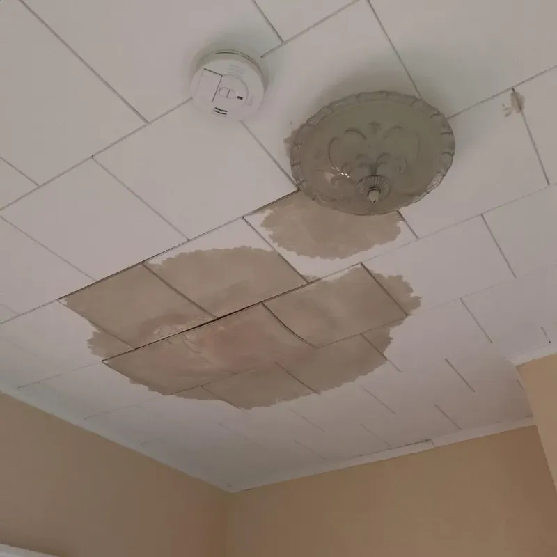 Ceiling Water Damage Repair in Harrisonville, MO