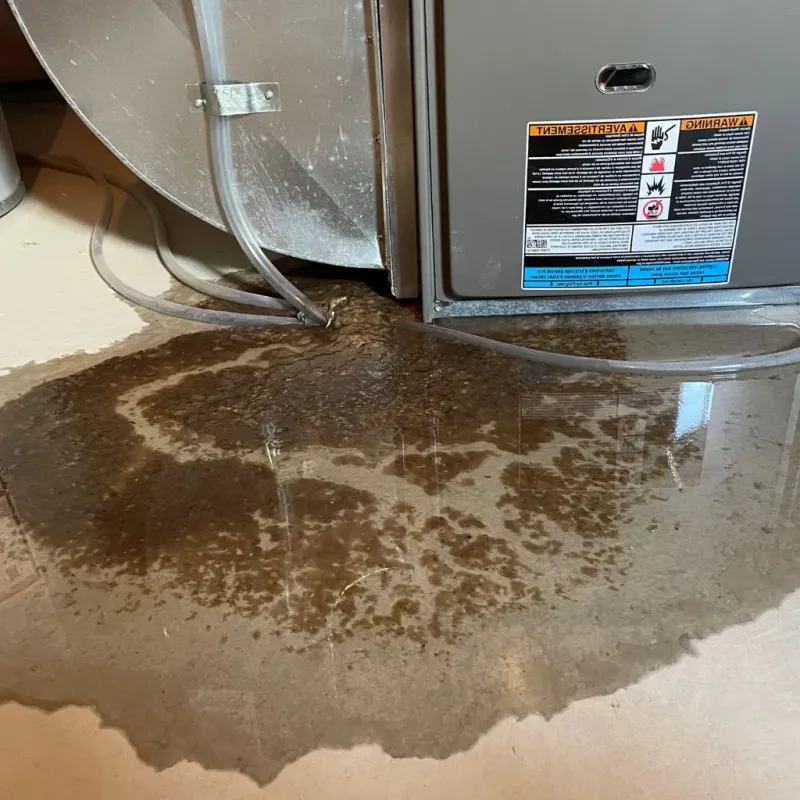 Pipe Burst and Leak Restoration in Harrisonville, MO