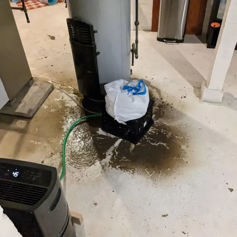 Sewage Backup Cleanup Service in Harrisonville, MO